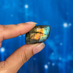 Labradorite Cabochon – Pre-Drilled • 9 grams