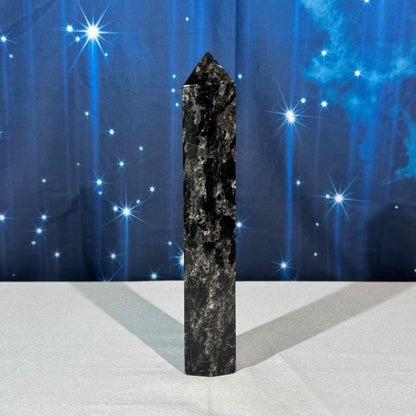 Arfvedsonite Tower – 0.731 kg