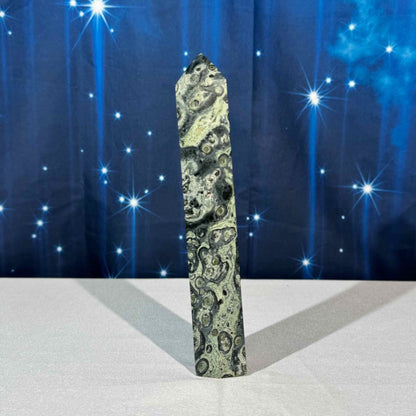 Kambaba Jasper Tower – 0.496 kg