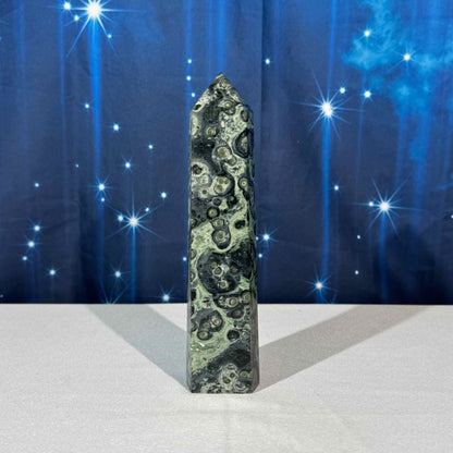 Kambaba Jasper Tower – 0.672 kg