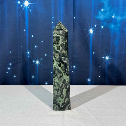 Kambaba Jasper Tower – 0.672 kg