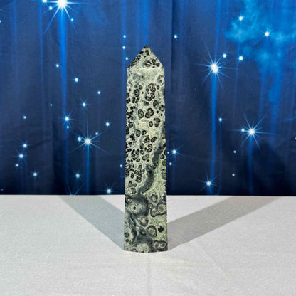 Kambaba Jasper Tower – 0.672 kg