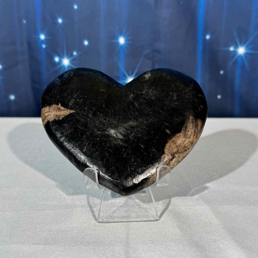 Petrified Wood Heart – 0.380 kg
