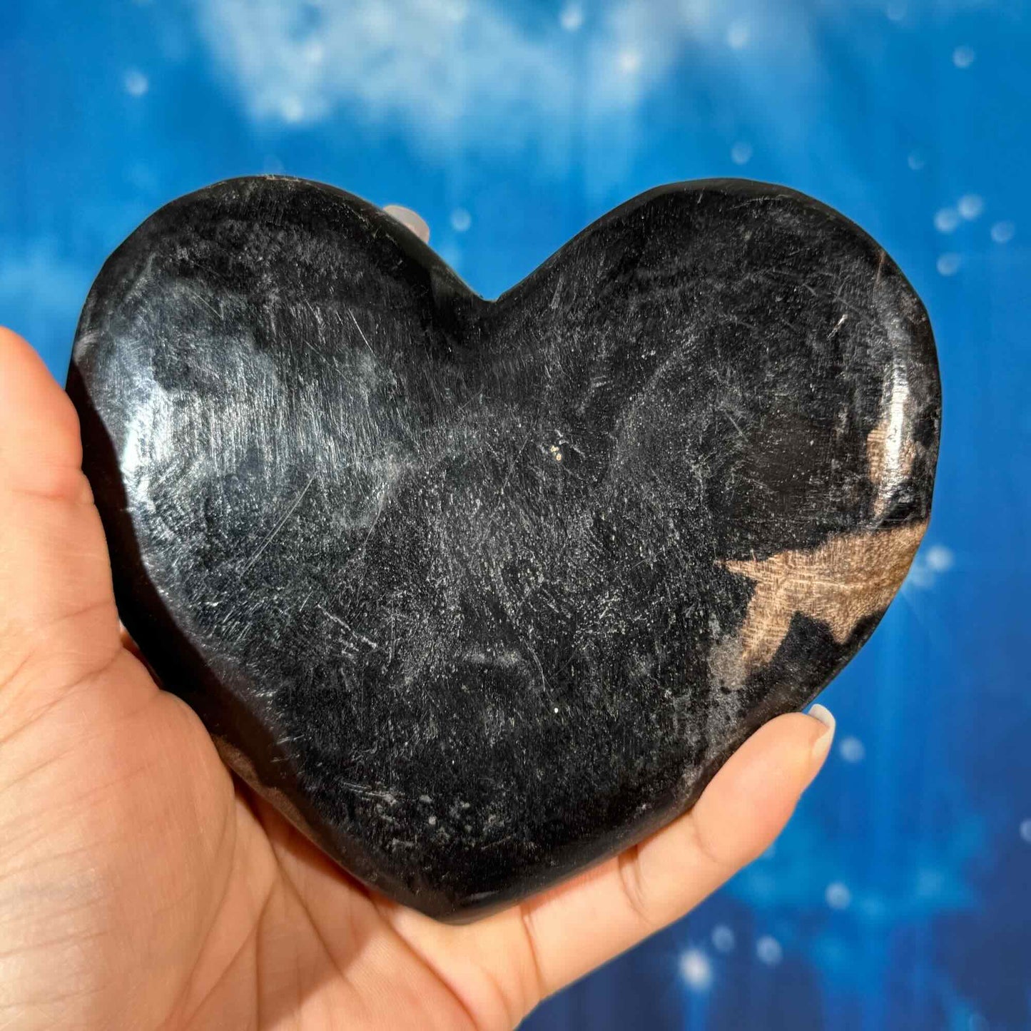 Petrified Wood Heart – 0.380 kg