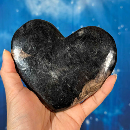 Petrified Wood Heart – 0.380 kg