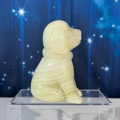 Green Banded Calcite Dog – 0.805 kg