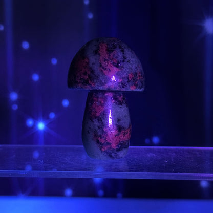 Ruby Fuchsite Mushroom – 0.113 kg