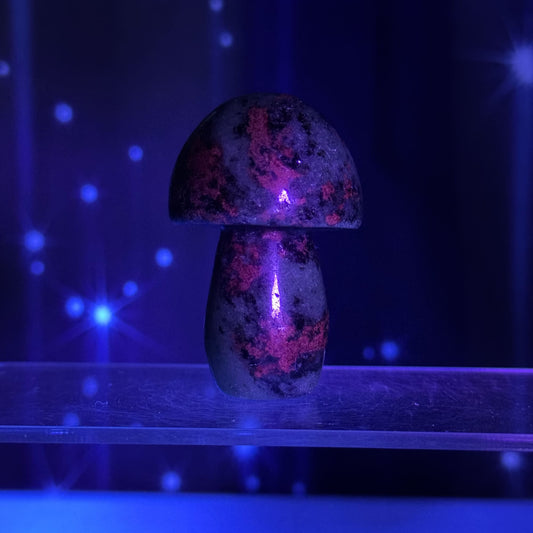 Ruby Fuchsite Mushroom – 0.113 kg