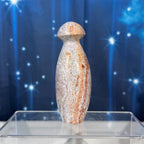 Sea Jasper Mushroom – 0.207 kg