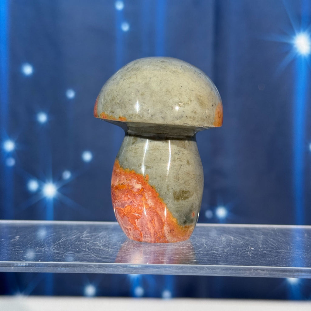 Polychrome Jasper Mushroom – 0.119 kg