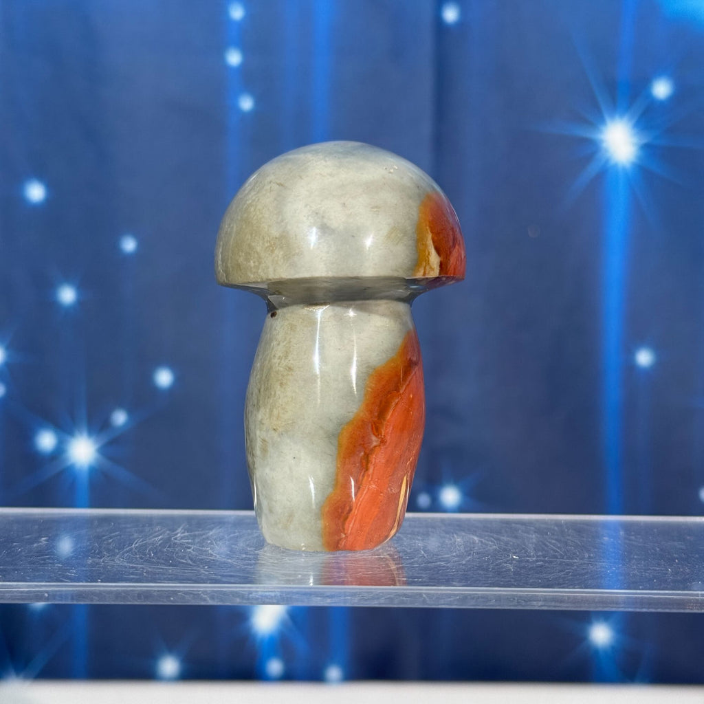 Polychrome Jasper Mushroom – 0.133 kg