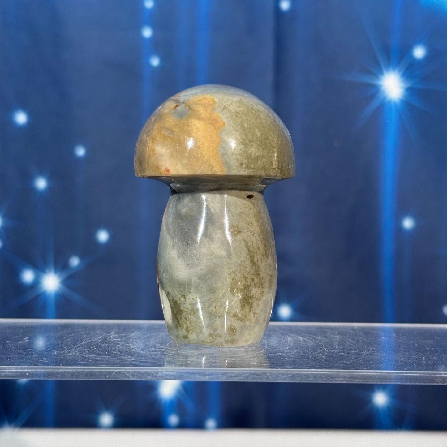 Polychrome Jasper Mushroom – 0.133 kg