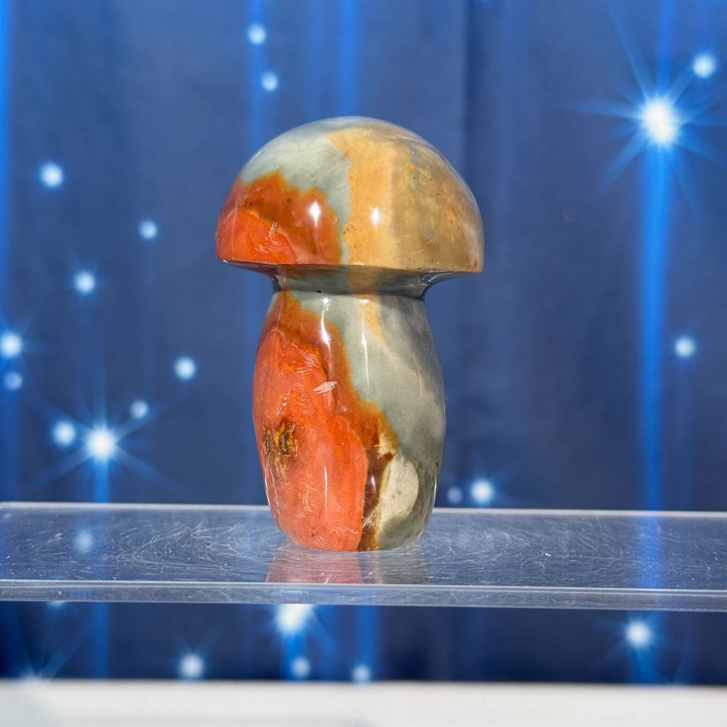 Polychrome Jasper Mushroom – 0.133 kg