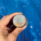 Polychrome Jasper with Pyrite Mushroom – 0.170 kg