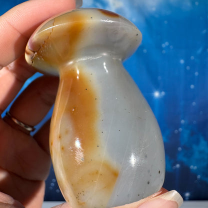 Polychrome Jasper with Pyrite Mushroom – 0.170 kg