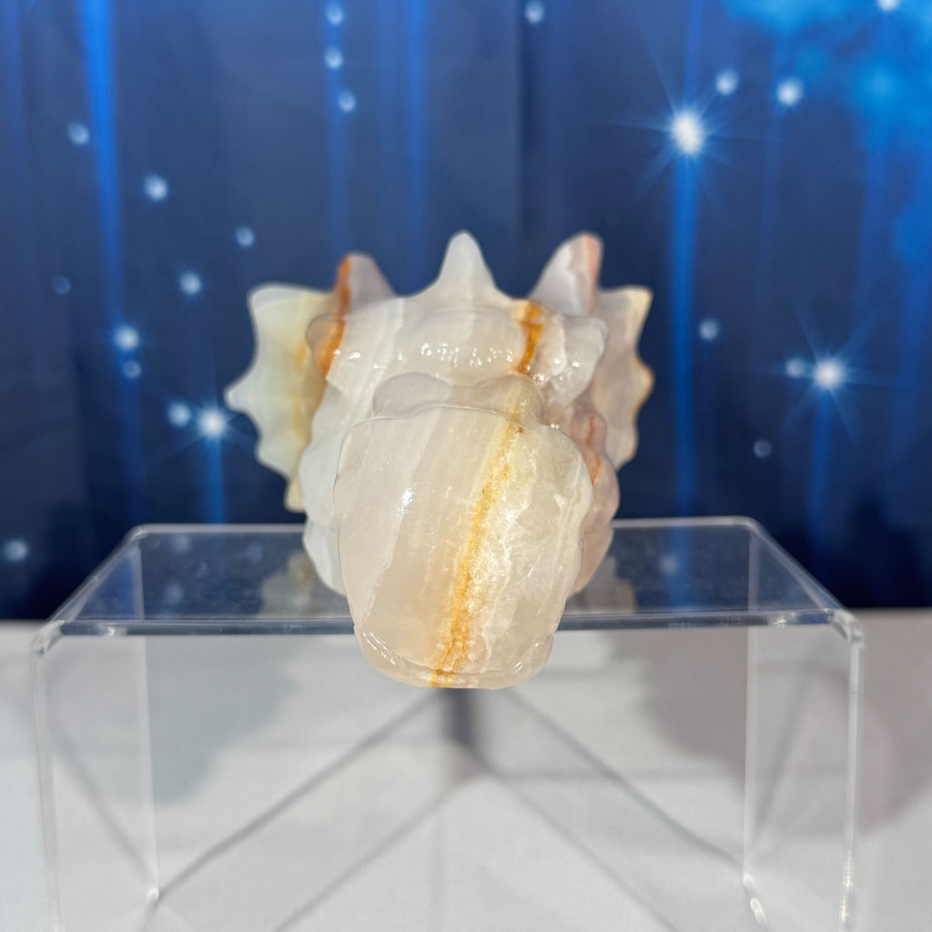 Banded Calcite Dragon Head – 0.802 kg