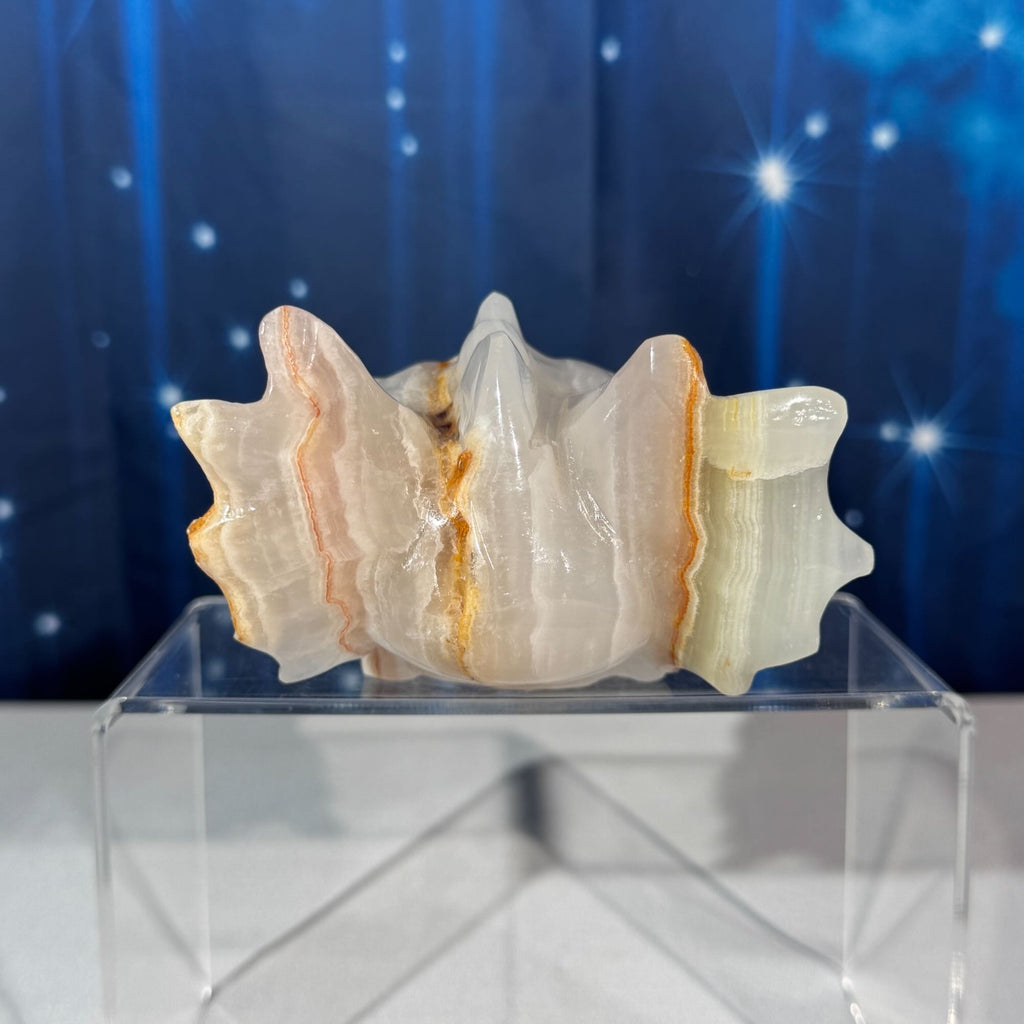 Banded Calcite Dragon Head – 0.802 kg