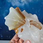 Banded Calcite Dragon Head – 0.802 kg