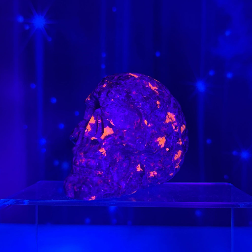 Engraved Sodalite-Syenite Skull – Yooperlite® • 0.612 kg