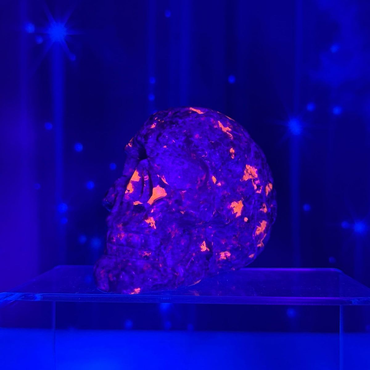 Engraved Sodalite-Syenite Skull – Yooperlite® • 0.612 kg