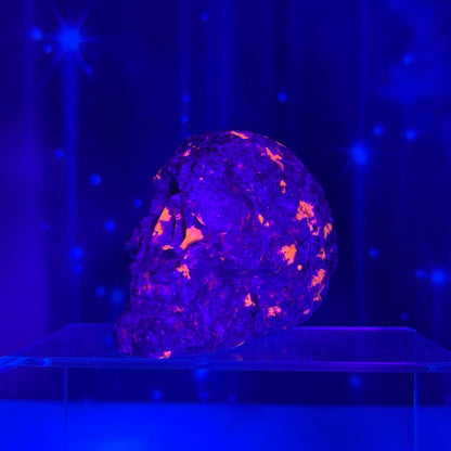 Engraved Sodalite-Syenite Skull – Yooperlite® • 0.612 kg
