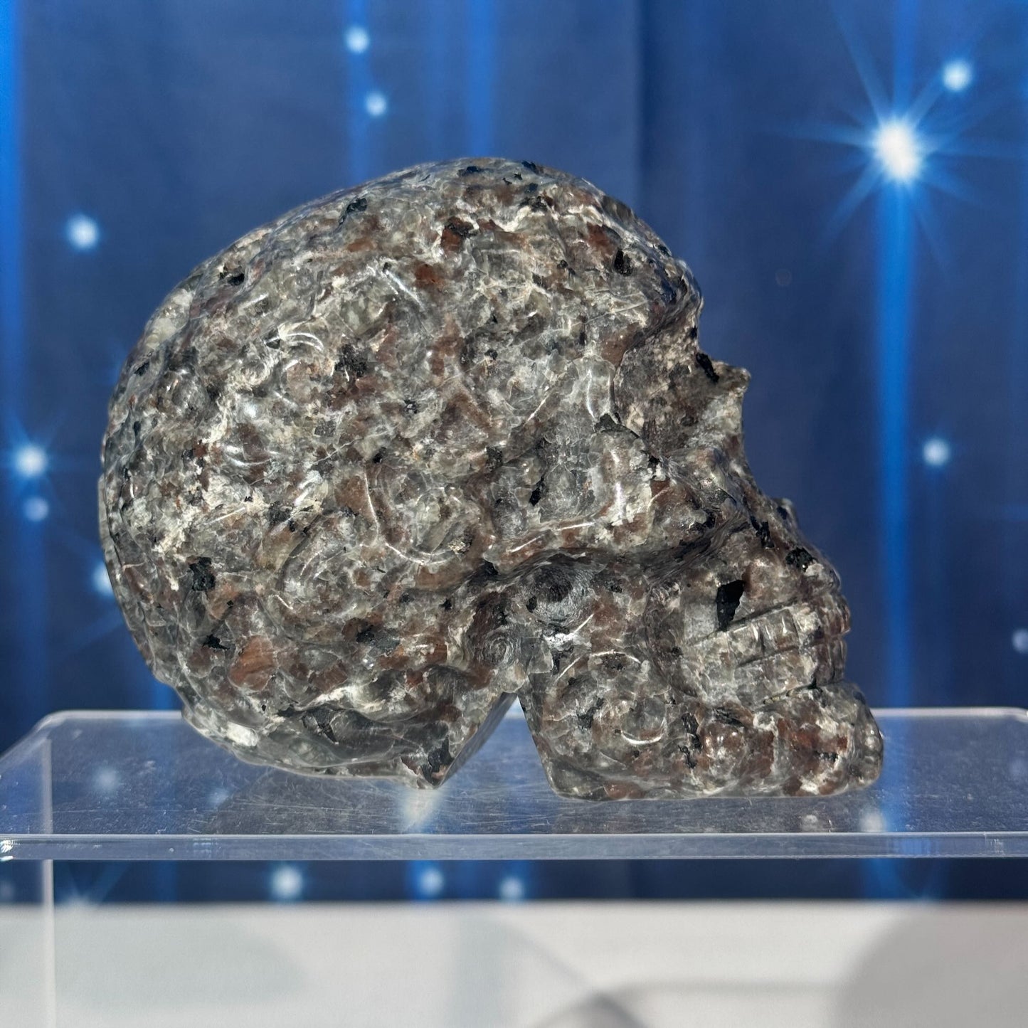 Engraved Sodalite-Syenite Skull – Yooperlite® • 0.612 kg