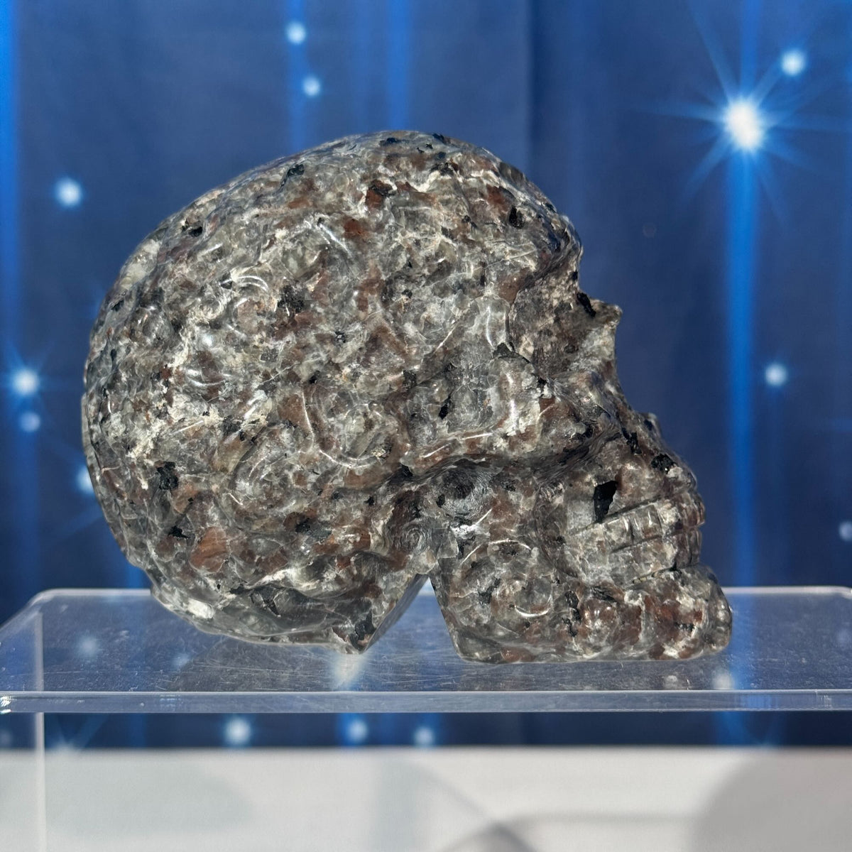 Engraved Sodalite-Syenite Skull – Yooperlite® • 0.612 kg