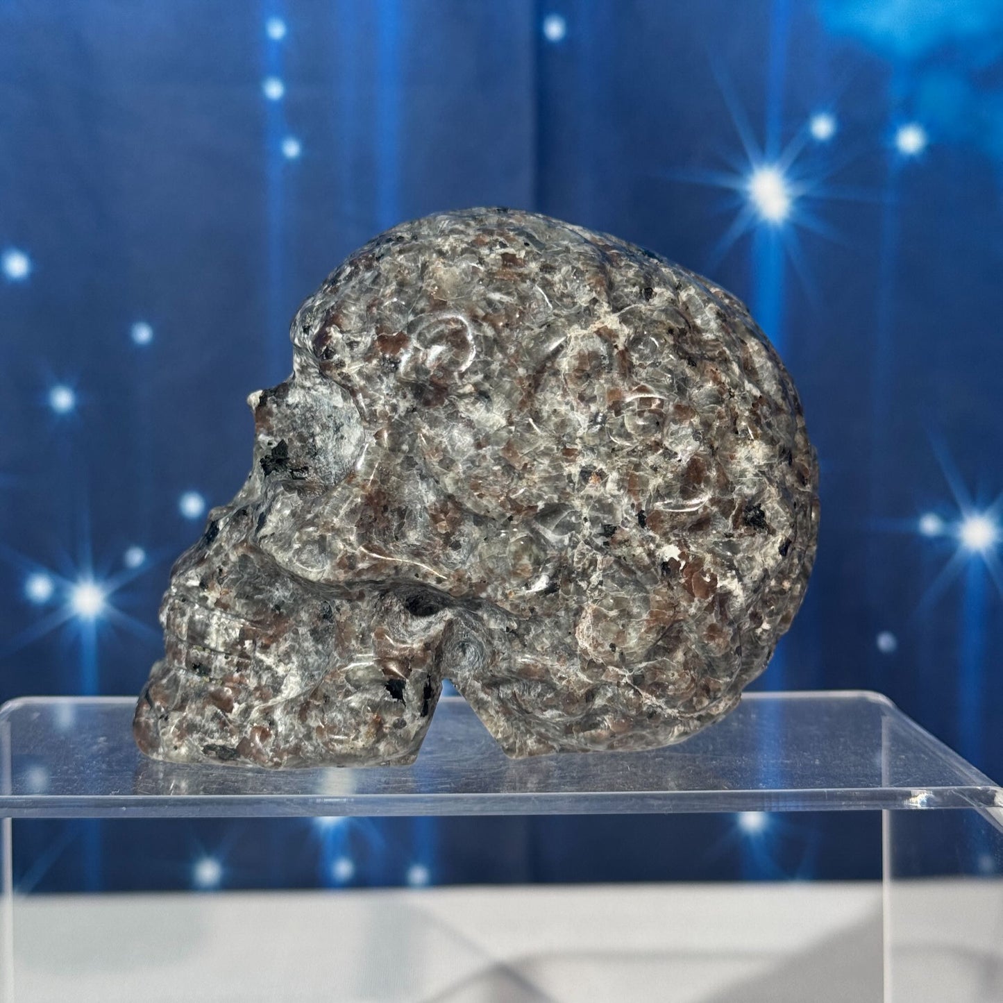 Engraved Sodalite-Syenite Skull – Yooperlite® • 0.612 kg
