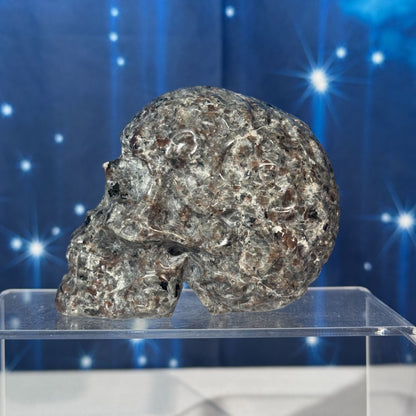 Engraved Sodalite-Syenite Skull – Yooperlite® • 0.612 kg