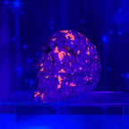 Engraved Sodalite-Syenite Skull – Yooperlite® • 0.638 kg