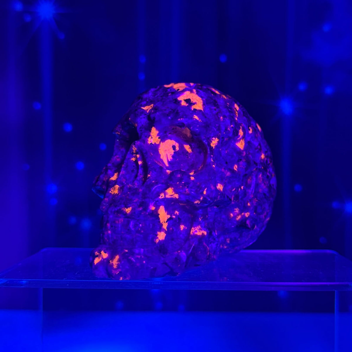 Engraved Sodalite-Syenite Skull – Yooperlite® • 0.638 kg