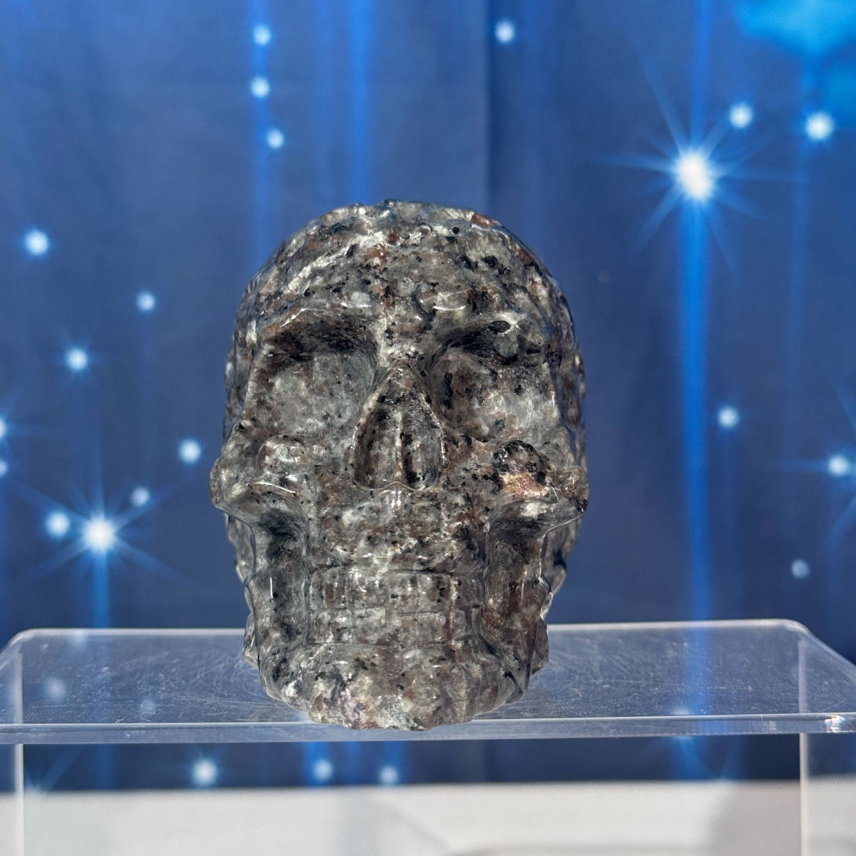 Engraved Sodalite-Syenite Skull – Yooperlite® • 0.638 kg
