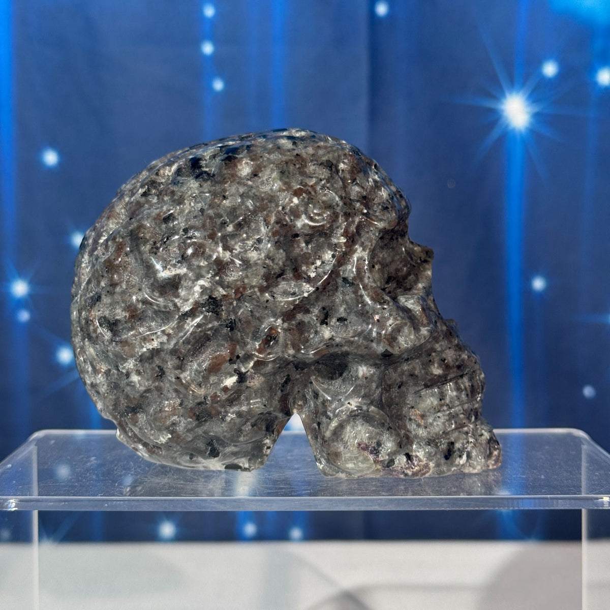 Engraved Sodalite-Syenite Skull – Yooperlite® • 0.638 kg