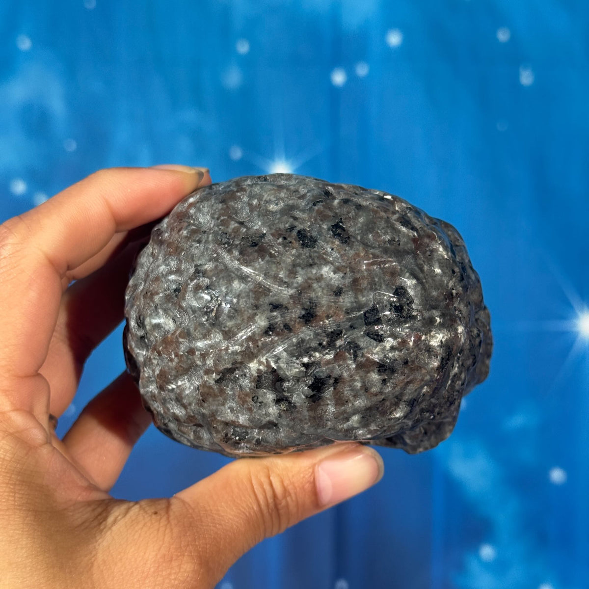 Engraved Sodalite-Syenite Skull – Yooperlite® • 0.638 kg