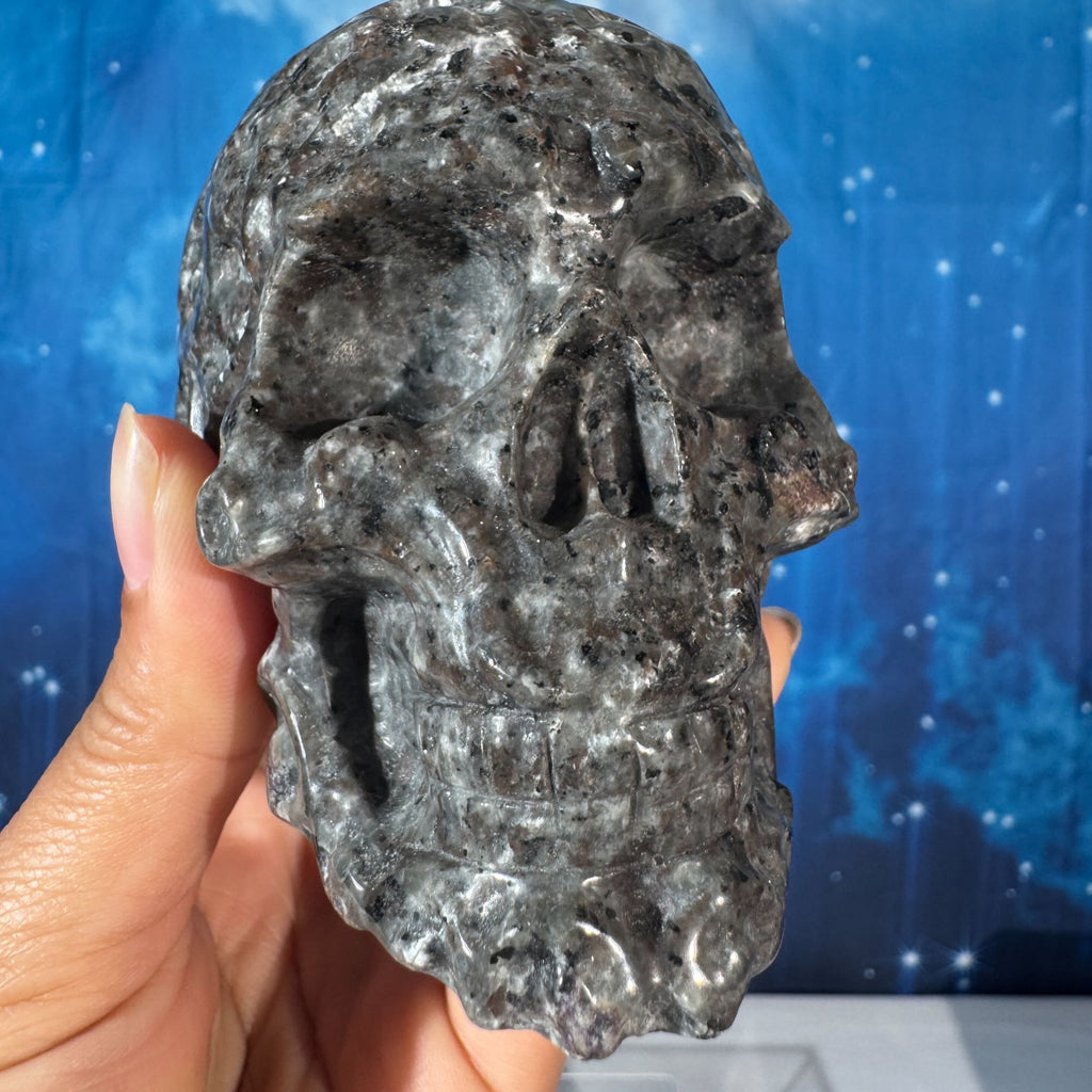 Engraved Sodalite-Syenite Skull – Yooperlite® • 0.638 kg