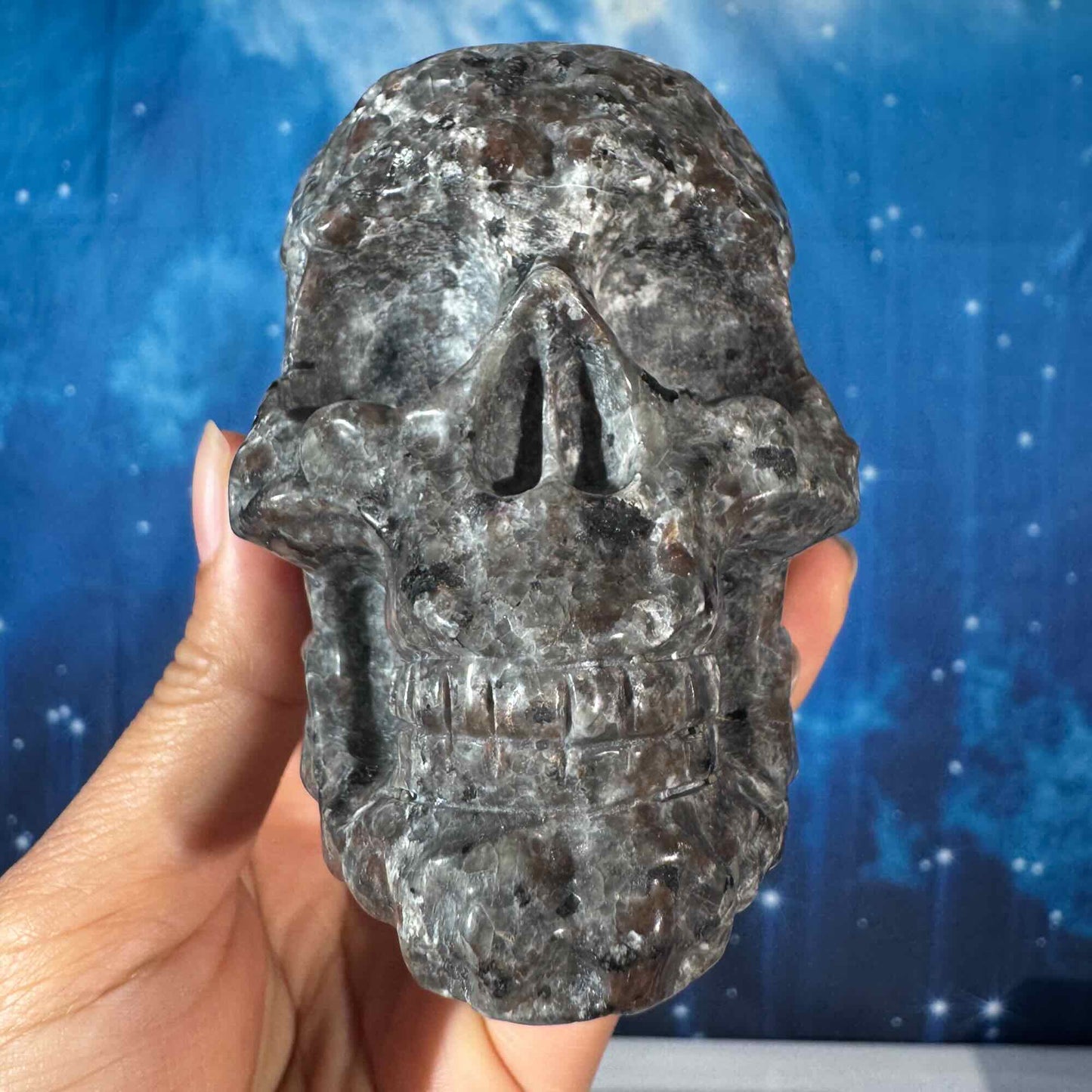 Engraved Sodalite-Syenite Skull – Yooperlite® • 0.612 kg