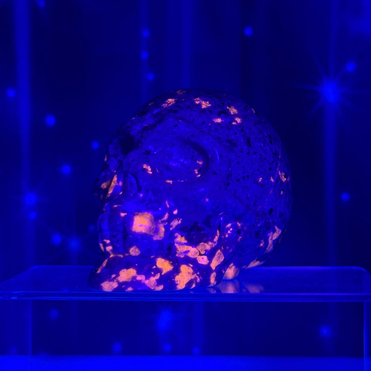 Sodalite-Syenite Skull – Yooperlite® • 0.644 kg