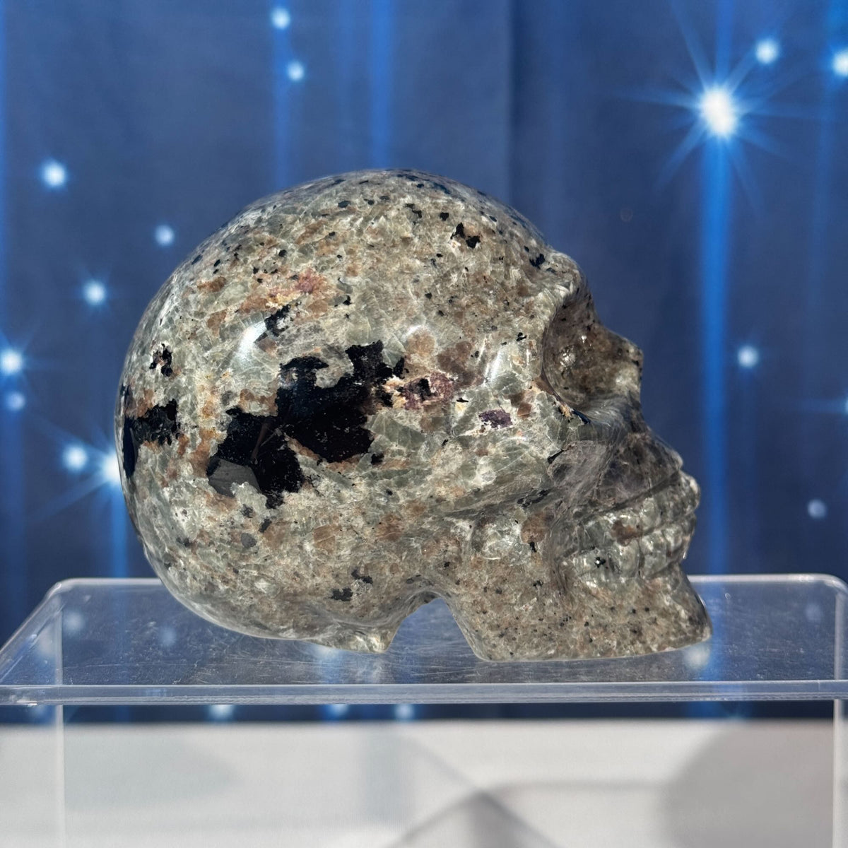 Sodalite-Syenite Skull – Yooperlite® • 0.644 kg