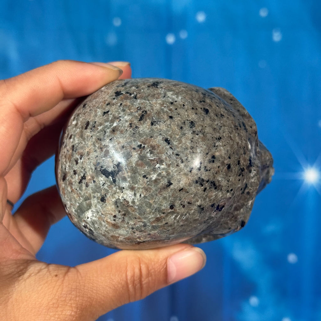 Sodalite-Syenite Skull – Yooperlite® • 0.644 kg