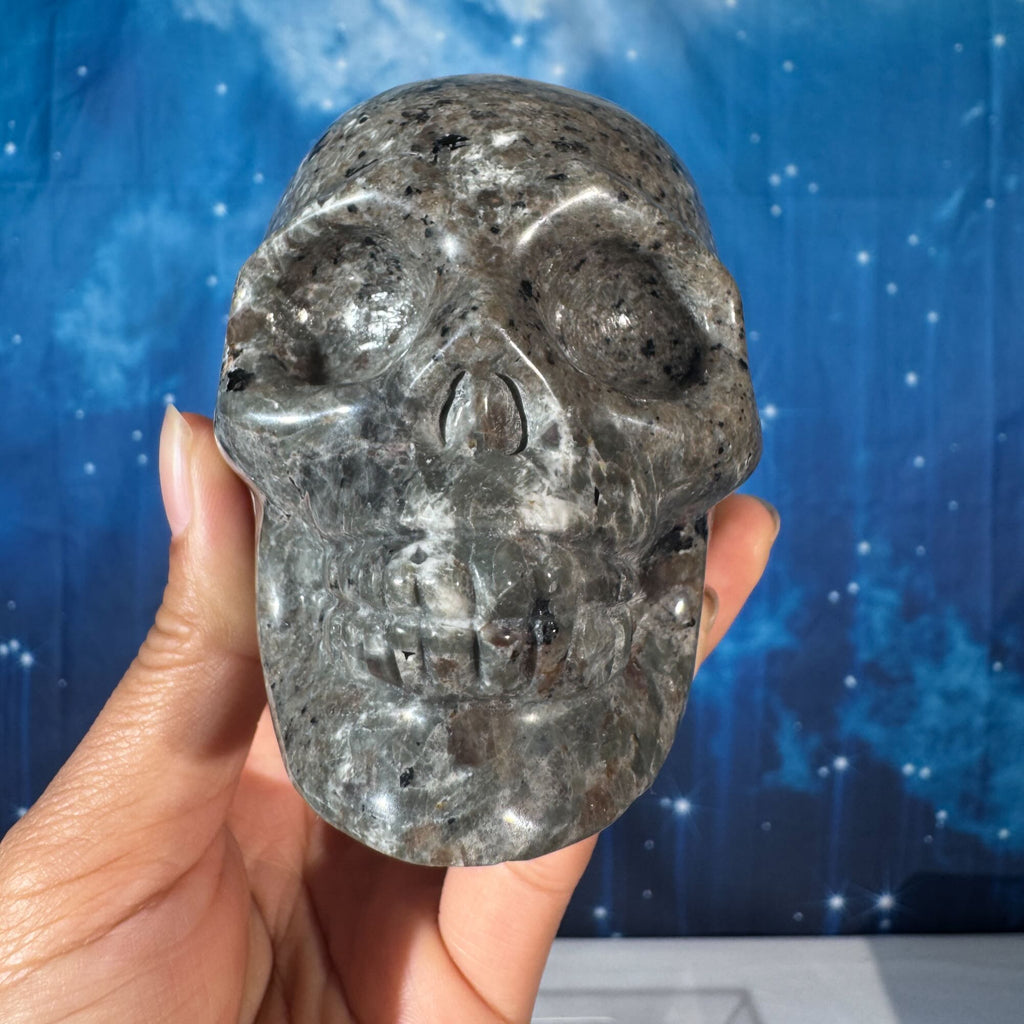 Sodalite-Syenite Skull – Yooperlite® • 0.644 kg