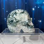 Moss Agate Skull – 0.785 kg