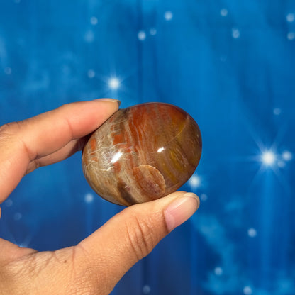 Petrified Wood Palm Stone – 0.085 kg