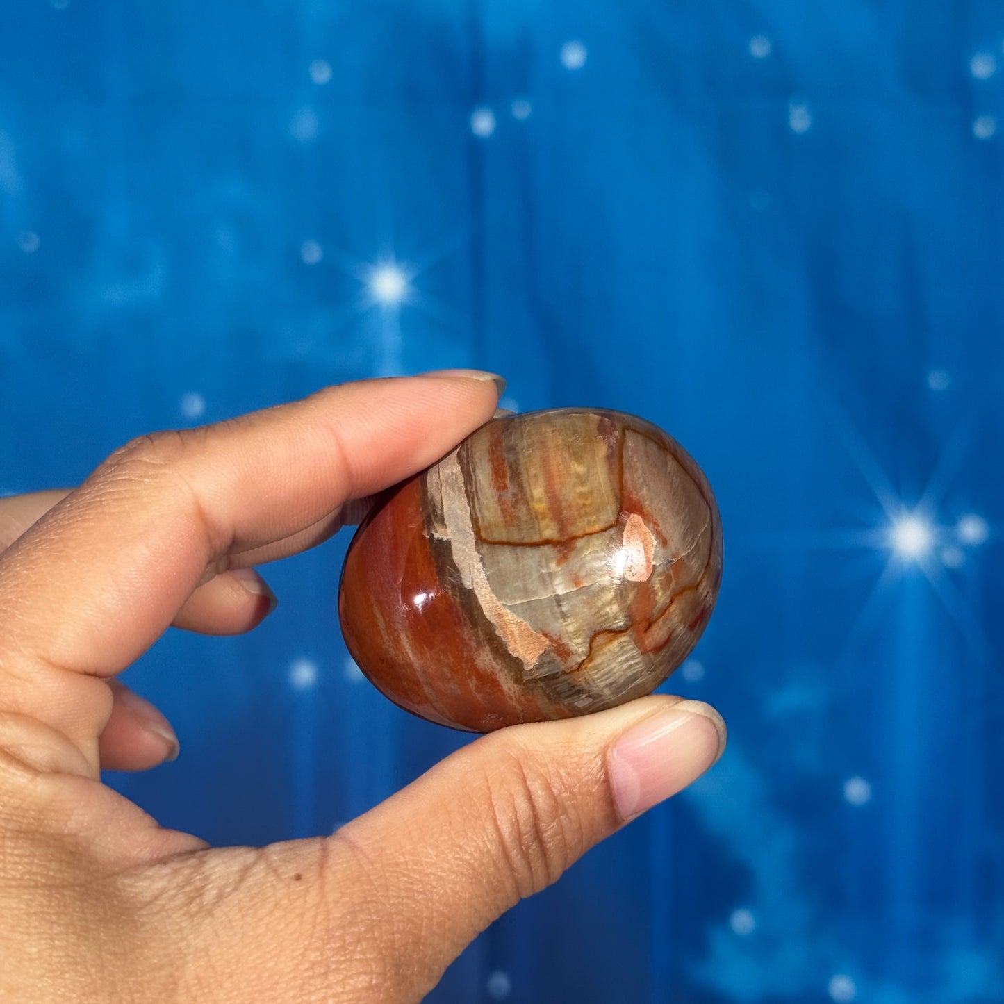Petrified Wood Palm Stone – 0.085 kg