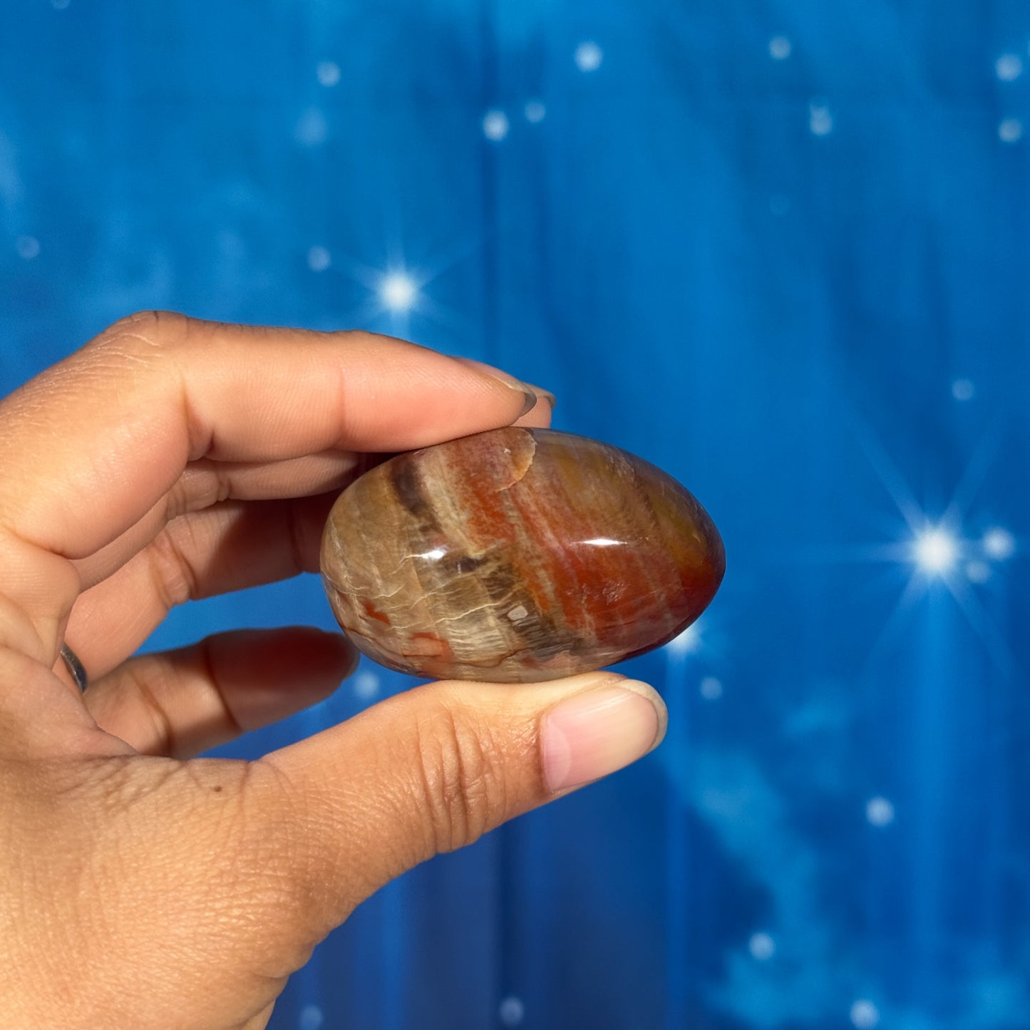 Petrified Wood Palm Stone – 0.085 kg