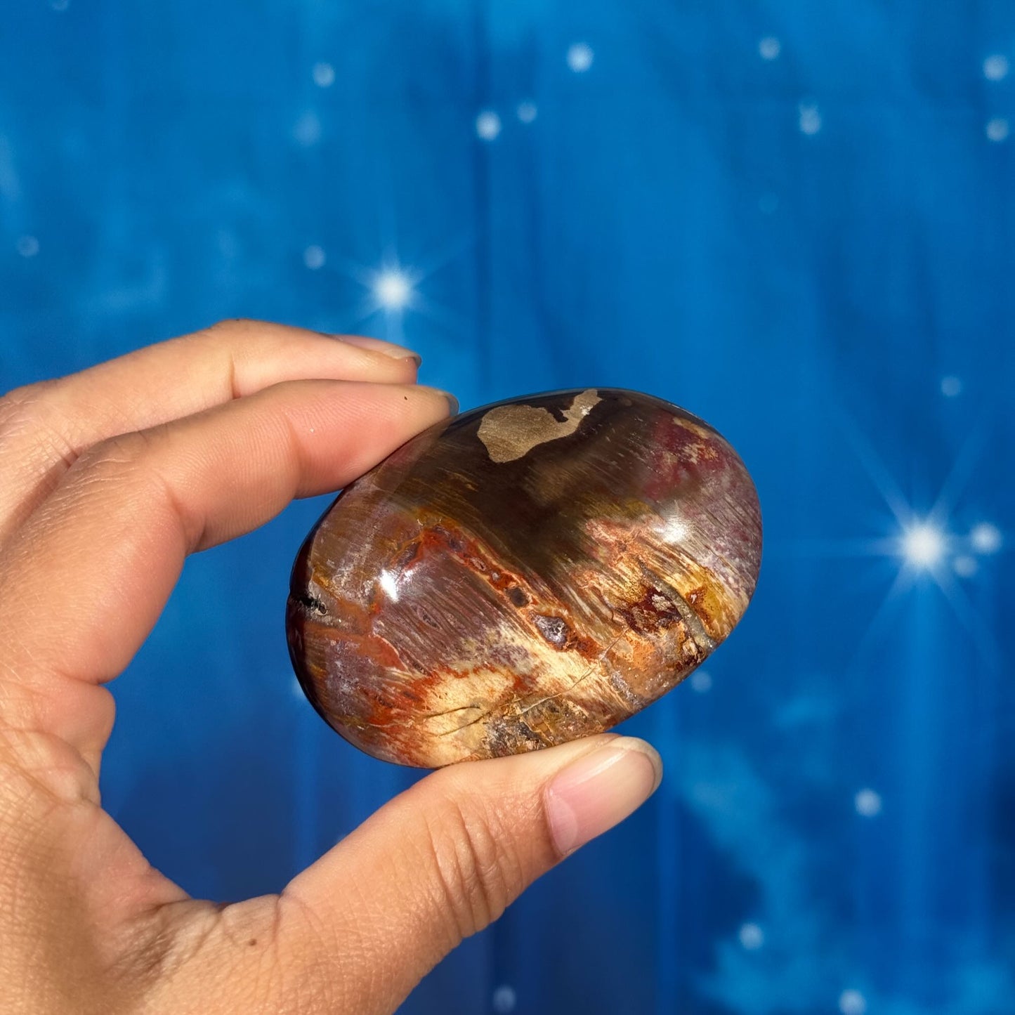 Petrified Wood Palm Stone – 0.105 kg