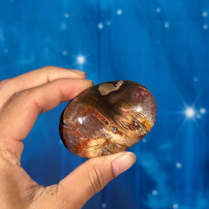 Petrified Wood Palm Stone – 0.105 kg