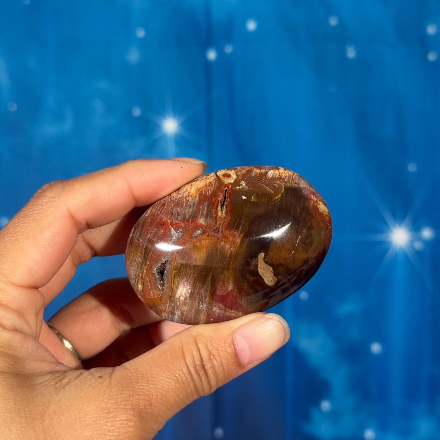 Petrified Wood Palm Stone – 0.105 kg
