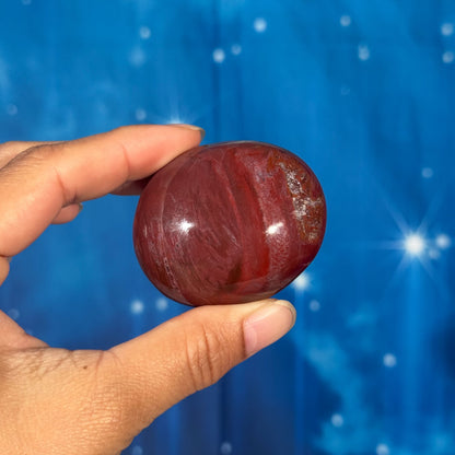 Petrified Wood Palm Stone – 0.105 kg