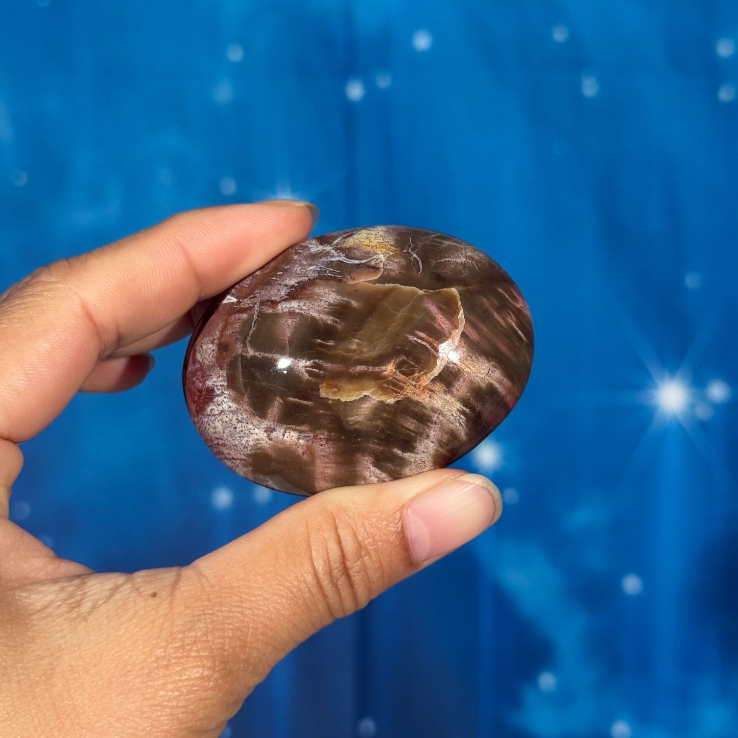 Petrified Wood Palm Stone – 0.105 kg