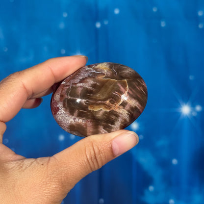 Petrified Wood Palm Stone – 0.105 kg
